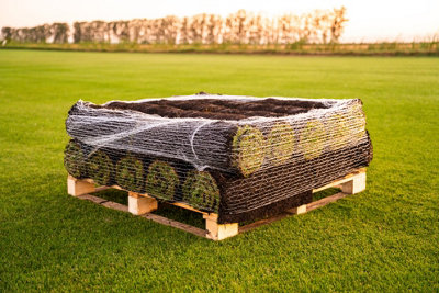 Harrowden Premium Lawn Turf 20m²