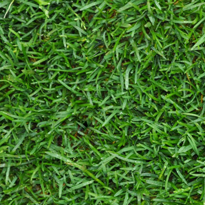 Harrowden Premium Lawn Turf 50m²
