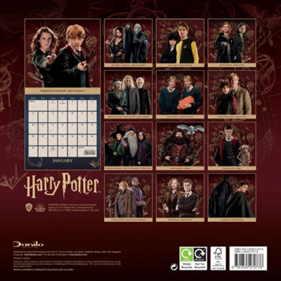 Harry Potter 2025 Square Wall Calendar Multicoloured (30cm x 30cm)
