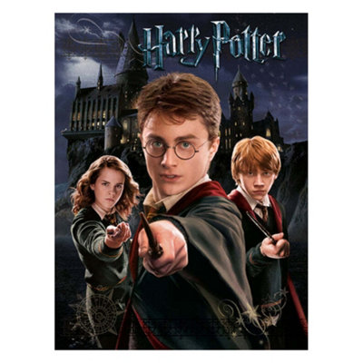 Harry Potter Canvas Print Grey/Black (40cm x 30cm)