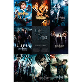 Harry Potter Collection 61 x 91.5cm Maxi Poster