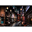 Harry Potter Diagon Alley Poster Multi-color (One Size)