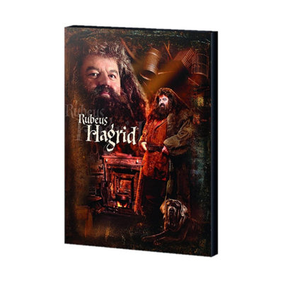 Harry Potter Hagrid Canvas Print Brown (40cm x 30cm)