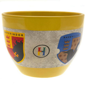 Harry Potter Hogwarts Houses Handleless Mug Multicoloured (One Size)