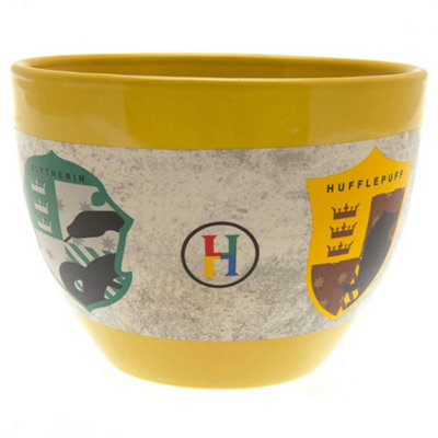 Harry Potter Hogwarts Houses Handleless Mug Multicoloured (One Size)