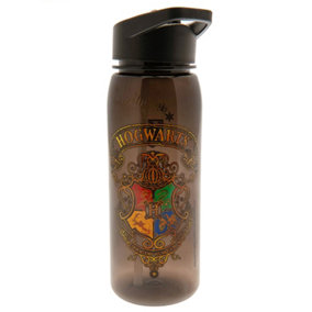 Harry Potter Hogwarts Water Bottle Brown (One Size)