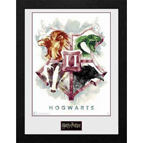 Harry Potter Hogwarts Water Colour 30 x 40cm Framed Collector Print