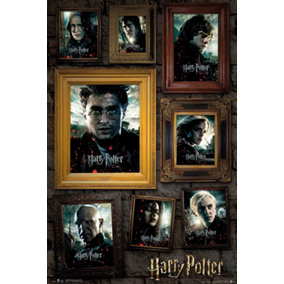 Harry Potter Portraits 61 x 91.5cm Maxi Poster