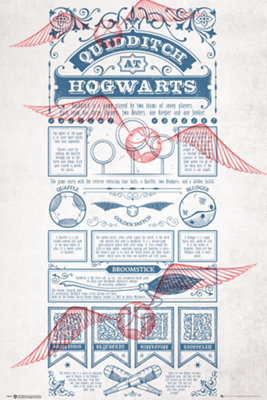 Harry Potter Quidditch at Hogwarts 61 x 91.5cm Maxi Poster