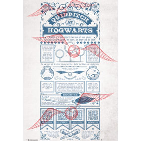 Harry Potter Quidditch at Hogwarts 61 x 91.5cm Maxi Poster