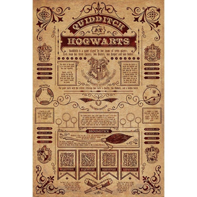 Harry Potter Quidditch Poster Golden Brown (One Size)