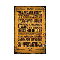 Harry Potter Quotes Poster Multicoloured (One Size)
