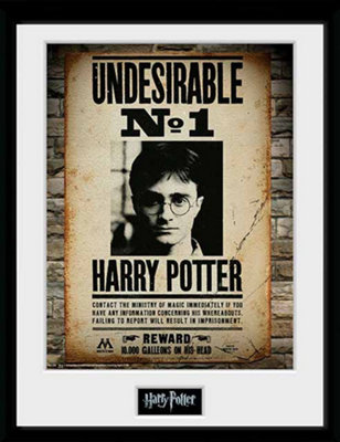 Harry Potter Undesirable No 1 30 x 40cm Framed Collector Print