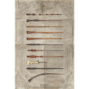 Harry Potter Wands Poster Multi-color (One Size)