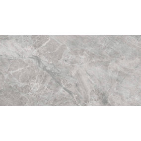 Harvey Grey Matt Ceramic Wall Tile 300x600mm - Pack of 8
