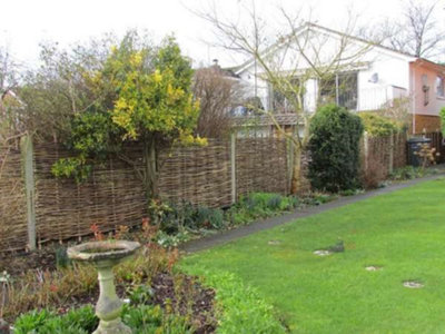 Hazel Hurdle Fence Panel Premium Woven Wattle Weave 6ft x 6ft - 8