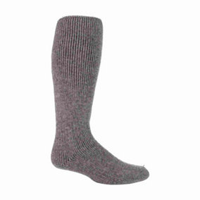 Heat Holders - Mens Long 2.7 TOG Knee High Wool Socks 6-11 Grey