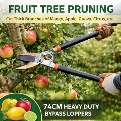 Heavy duty bypass lopper 74cm tree loppers for gardening titanium ...
