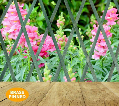 Heavy Duty Expanding Trellis - Sage 1.8 x 0.6m - 6