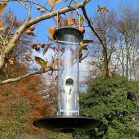 Heavy Duty Metal Bird Seed Feeder with Seed Catcher Tray