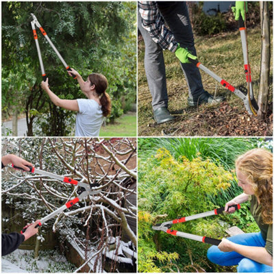 Heavy Duty Telescopic Long Handle Lopper Extend Tree Branch Anvil ...