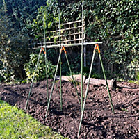Heavy Duty Tomato Cage Planter & Extendable Plant Support Trellis Frame for Grow Bags Greenhouse Raised Bed Garden Pots
