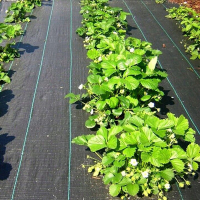 Heavy Duty Weed Control Fabric Membrane Suppressant Barrier Garden Ground Cover 1.1M X 10M (50gsm) - 4