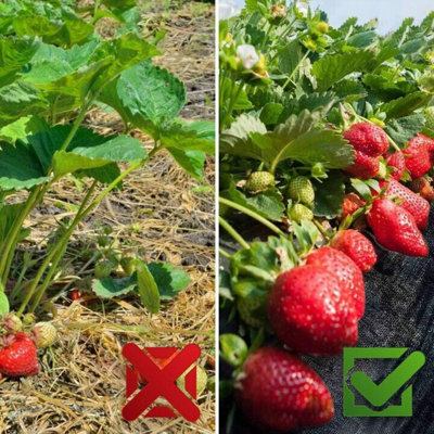 Heavy Duty Weed Control Fabric Membrane Suppressant Barrier Garden Ground Cover 1.1M X 10M (50gsm) - 7