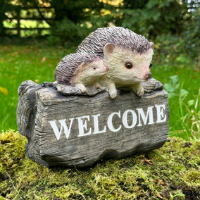 Hedgehog garden decoration with WELCOME wording, wood effect resin, novelty Hog lover gift