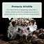 Hedgehog House Hibernation Animal Home Habitat Shelter Predator Proof Wooden Food Pet Nest & Wildlife Box