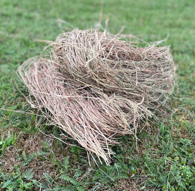 Hedgehog House Nesting Straw Bedding Material (300g)