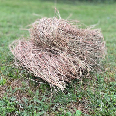 Hedgehog House Nesting Straw Bedding Material (300g)