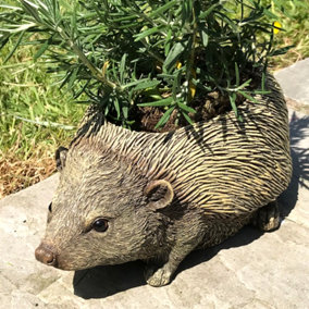 Hedgehog shaped planter, great for herbs, alpines or succulents, novelty house or garden decoration, quirky Hog lover gift