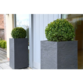 Hedges Direct Box 20cm Topiary Ball
