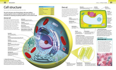 Help Your Kids with Science: A Unique Step-by-Step Visual Guide ...