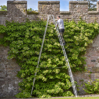 Hendon Standard Tripod Ladder 16ft
