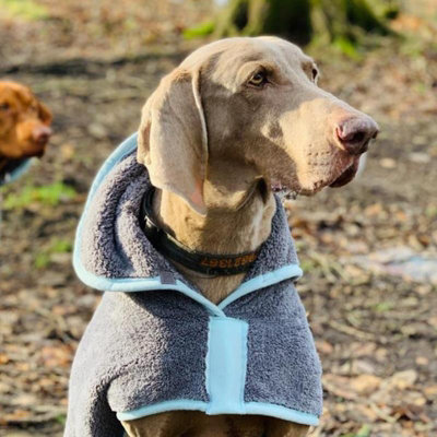 Henry Wag Drying Coat Microfibre Cover For Dogs - Small Size