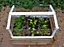 Herb and Salad Cloche with Wooden Planter - Aluminium - L84 x W61 x H24 cm - Plain