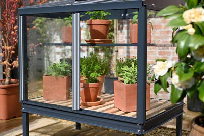 Herb House - Aluminium/Glass - L80 x W55 x H93 cm - Anthracite - 5