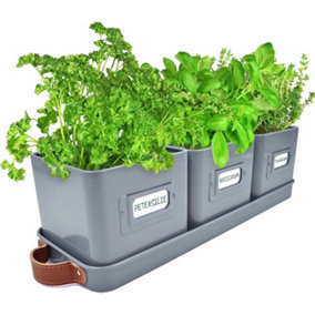Herb Planter Indoor with Leather Handled Tray Set of 3 Grey - Labels Included