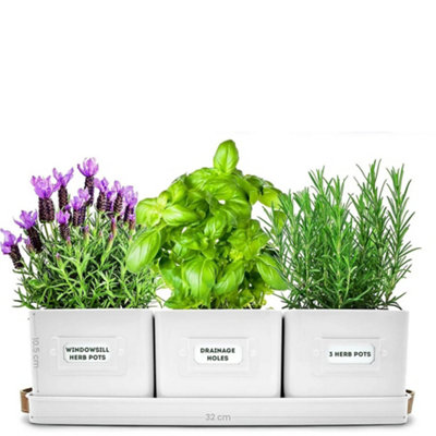Herb Planters - Durable Indoor/Outdoor Garden Pot With Label & Tray