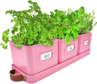 Herb Pots Set of 3 - Pink Indoor Planters with Leather Handled Tray, Labels, and Drainage - Ideal for Windowsill Gardens