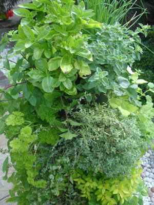 HERB TOWER VERTICAL PLANTER FLOOR STANDING