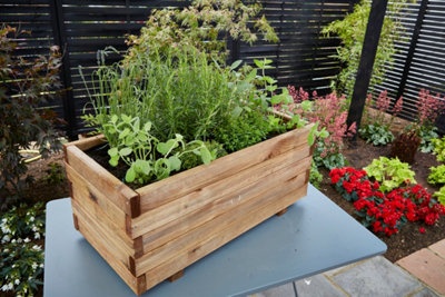 A small rectangular timber garden bed with a variety of green plants inside.