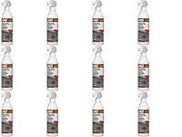 HG Natural Stone Coloured Stain Colour Remover 41, 500ml Spray (Pack of 12)