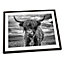 Highland Cow Black and White FRAMED ART PRINT Picture Artwork Black Frame A1 (H)64cm x (W)89cm
