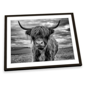 Highland Cow Black and White FRAMED ART PRINT Picture Artwork Black Frame A3 (H)35cm x (W)47cm