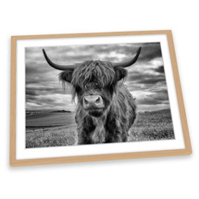 Highland Cow Black and White FRAMED ART PRINT Picture Artwork Light Oak Frame A1 (H)64cm x (W)89cm