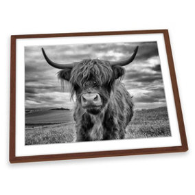 Highland Cow Black and White FRAMED ART PRINT Picture Artwork Walnut Frame A1 (H)64cm x (W)89cm