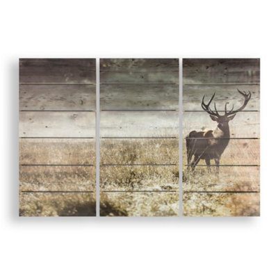 Highland Stag Print On Wood Wall Art